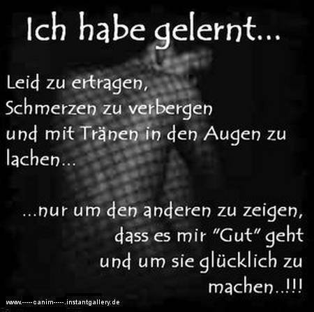 bild.jpg